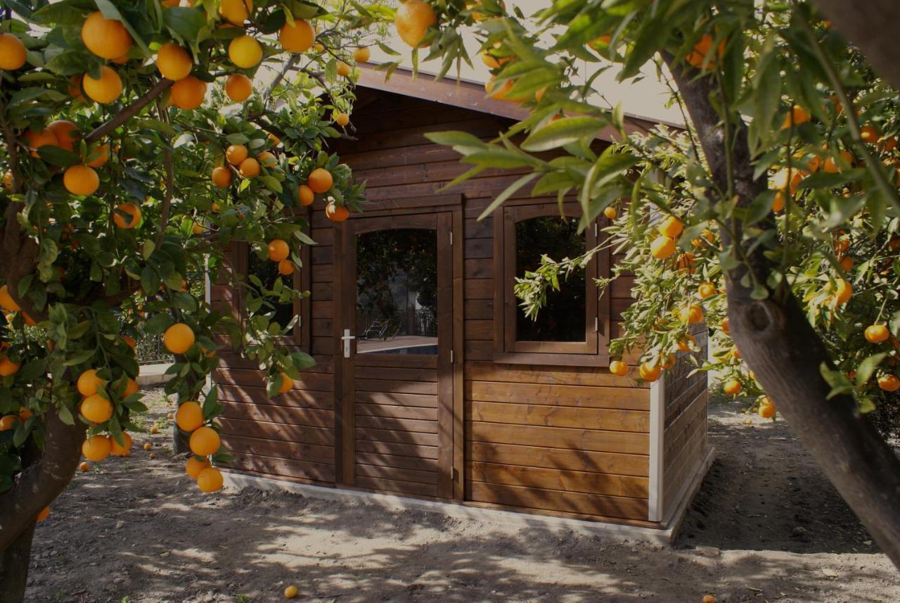 La Canota King Rooms Adults Only Talara Zewnętrze zdjęcie