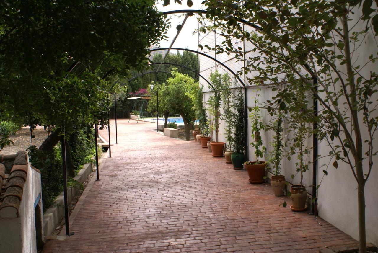 La Canota King Rooms Adults Only Talara Zewnętrze zdjęcie