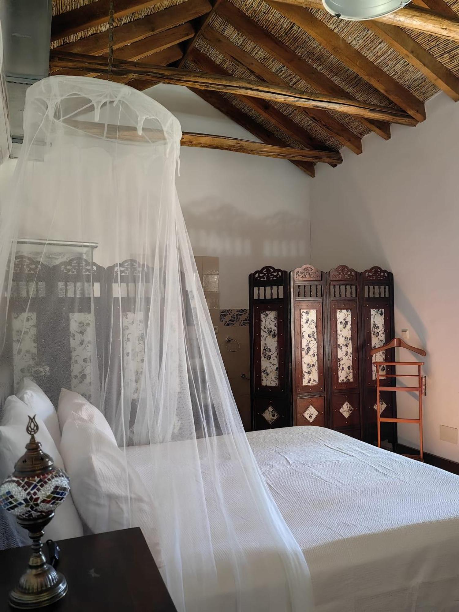 La Canota King Rooms Adults Only Talara Zewnętrze zdjęcie