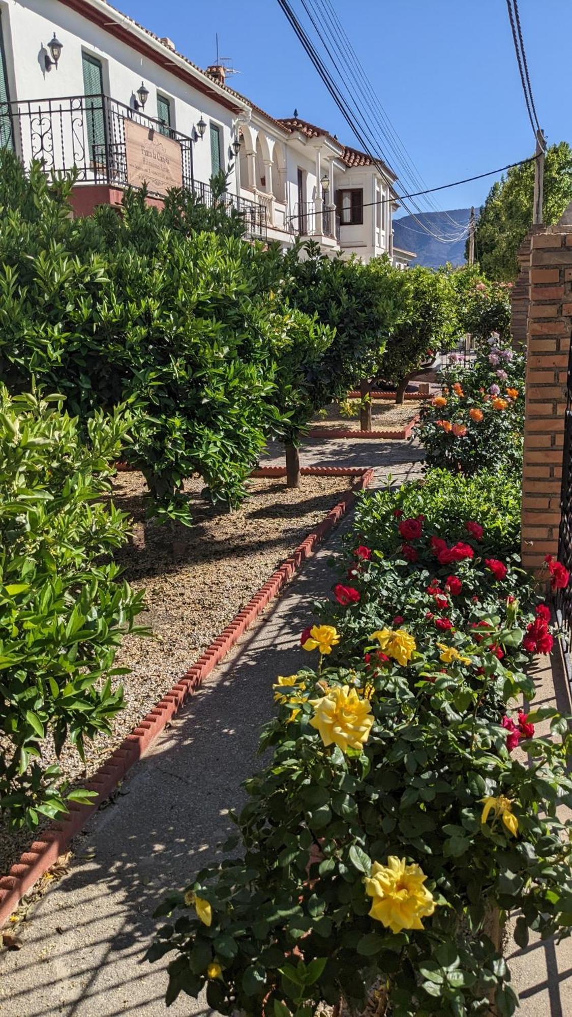 La Canota King Rooms Adults Only Talara Zewnętrze zdjęcie